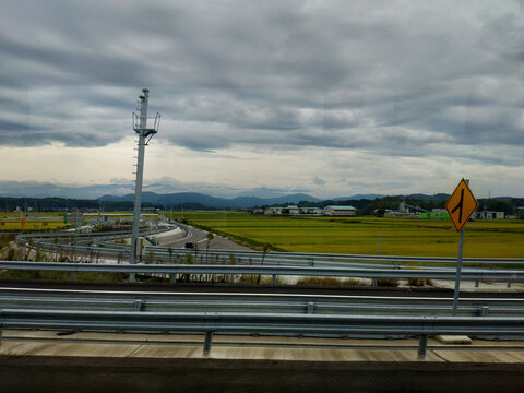 路边的田野