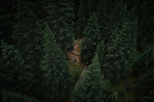 川西措普沟森林中的小屋