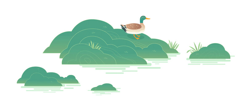 中国风工笔画山水湖面小鸭子