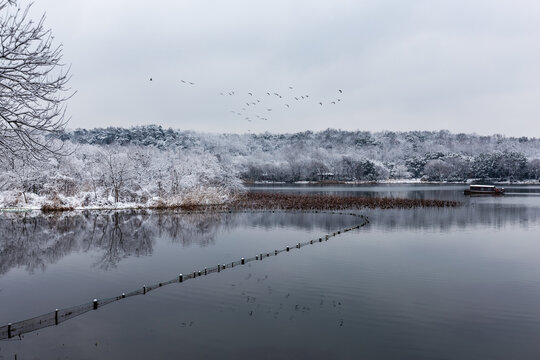 杭州茅家埠雪霁