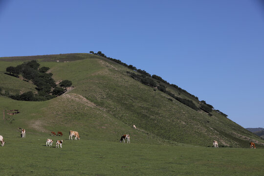 阿鲁科尔沁旗山地草原牧场