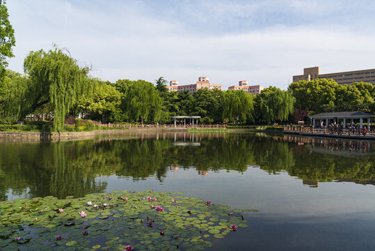 上海岭南公园