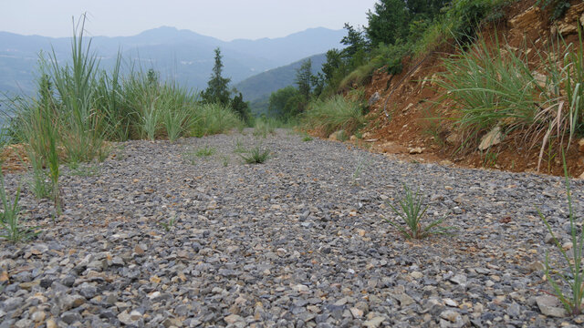 乡村碎石公路