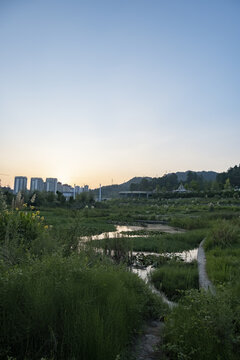 习水县东风湖湿地公园