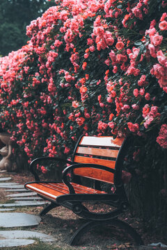 蔷薇花座椅