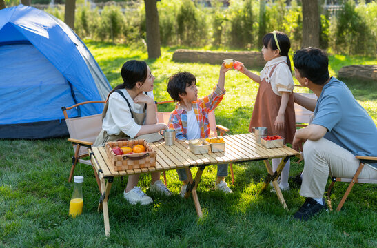 一家四口在露营地野餐开心干杯庆祝