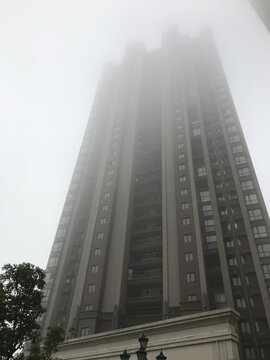城市冬季晨雾大楼