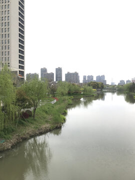 河水河道城市风景