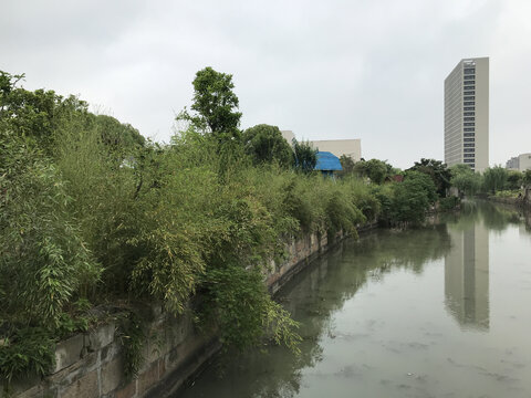 绿色城市河岸风景