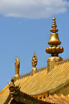 青海西宁塔尔寺