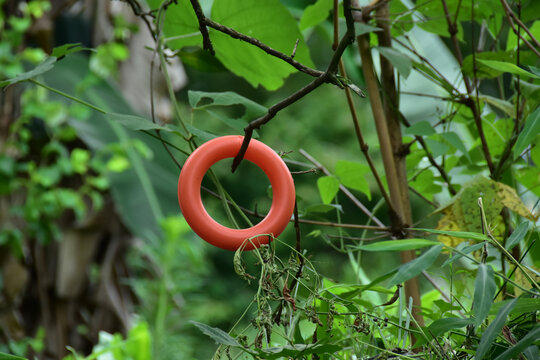 桂林阳朔山水风光