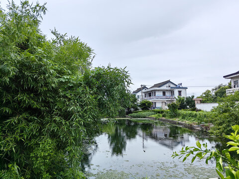 江南水乡农村田园风光