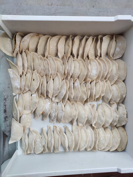冻干饺子