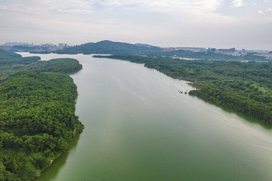 深圳铁岗水库