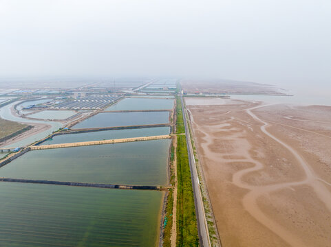 航拍东营红滩湿地海滨公园