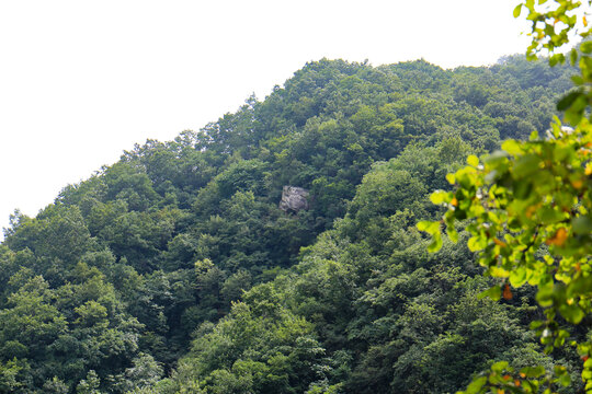 大山风光