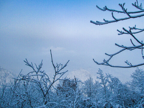 雪景