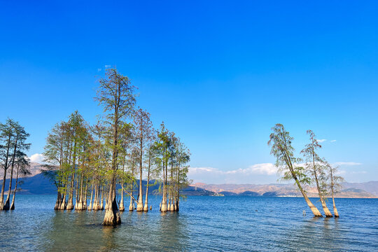 洱海风光