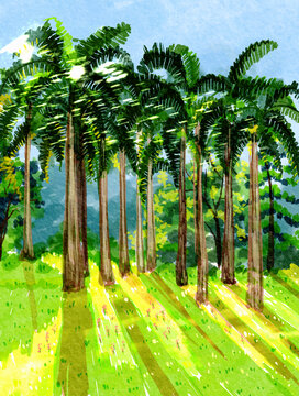公园棕榈树椰子树阳光小树林