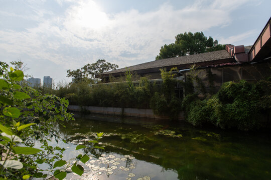 长沙市月湖公园里的茶舍