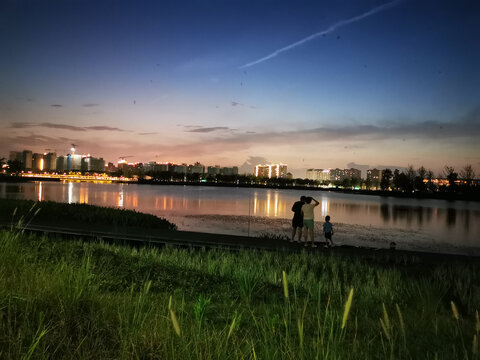 上海之鱼夜景