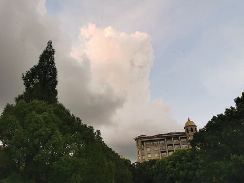 暴雨来临前夕