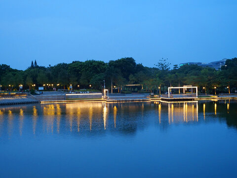 公园湖边夜景