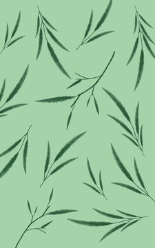 绿色植物素材背景壁纸
