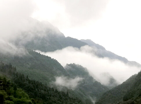 山水山雾