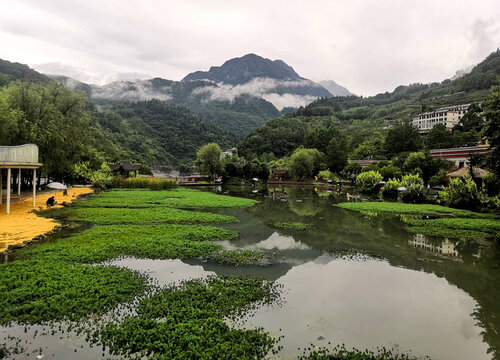 湿地风光