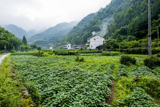 美丽乡村