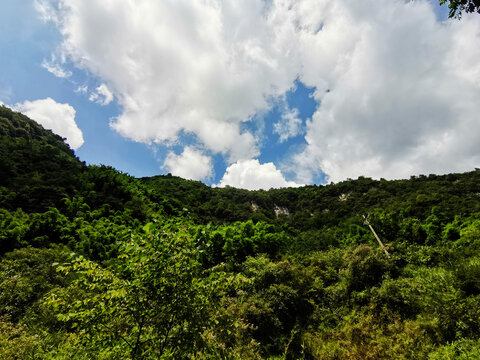 高山