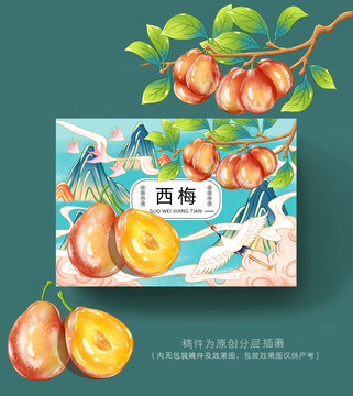 西梅插画包装手绘