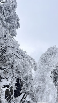 雪国