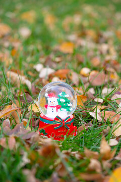 秋季草地上的圣诞球