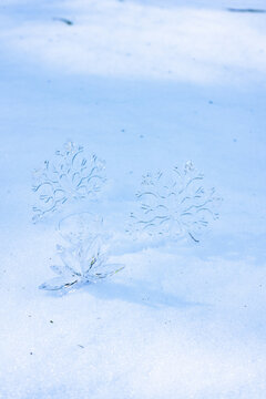 冬季雪花