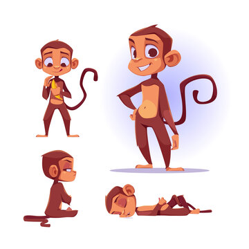 不同姿势的可爱猴子角色