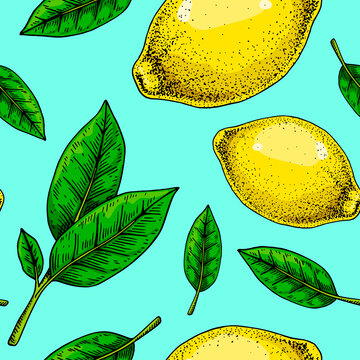 手绘精致柠檬与叶子无缝图案