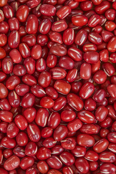 红豆背景素材
