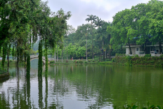 公园景观湖景