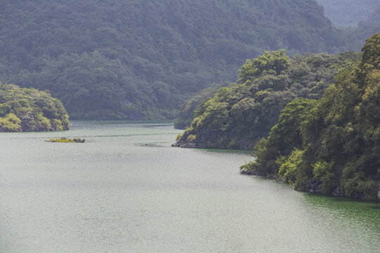 青山绿水