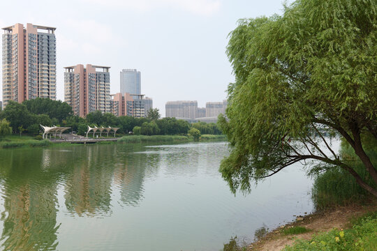 徒骇河河景