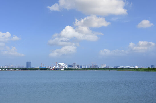 上海南汇海岸风光