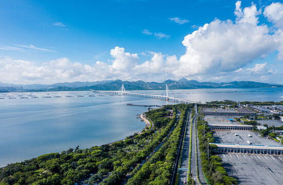 深圳湾全景