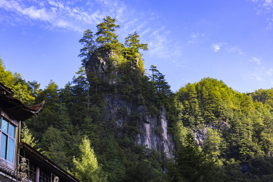 原始森林