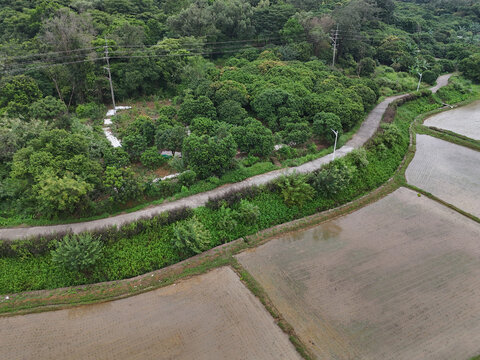 山区道路