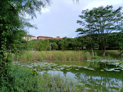 松山湖美景