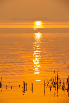 湖边金色夕阳倒影