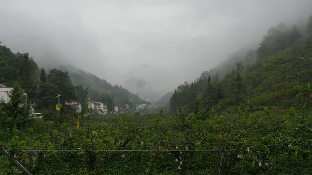 雨后云雾缭绕美不胜收