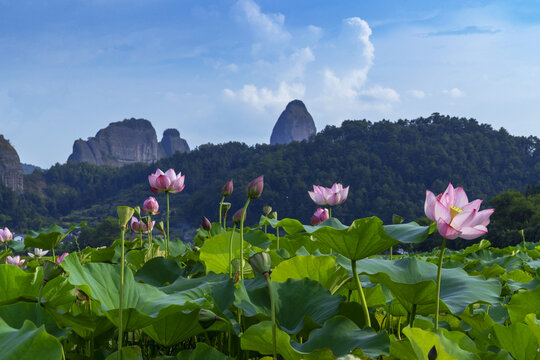 邵阳崀山骆驼峰